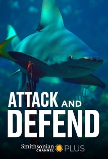 Attack and Defend